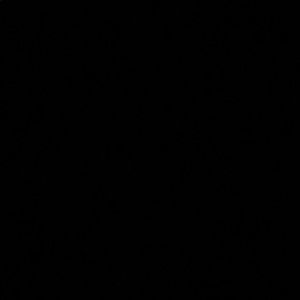 Meet your Posher, Bella